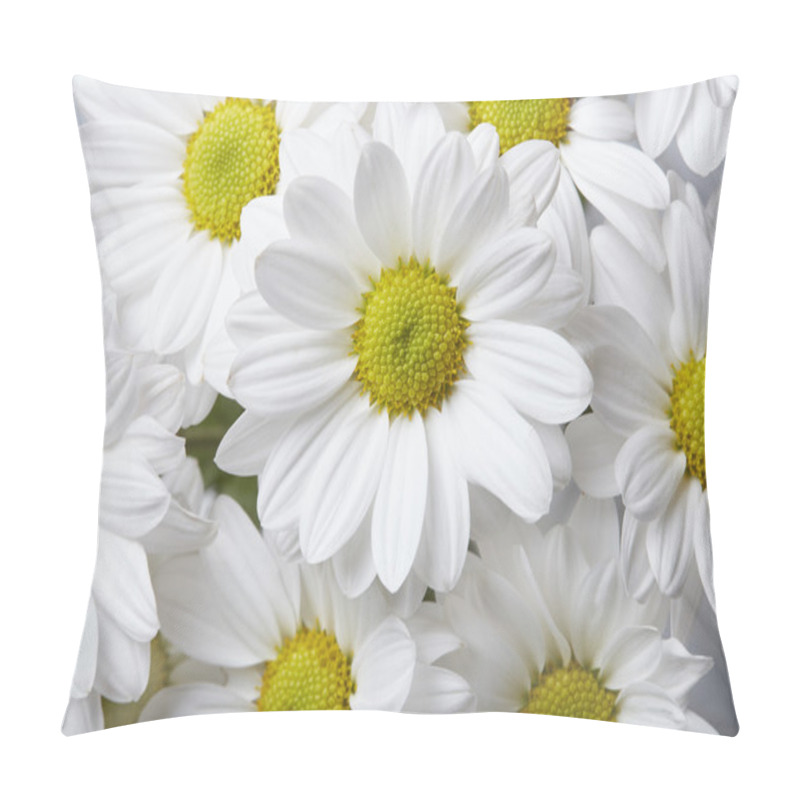 Personality  Chamomile Background Pillow Covers