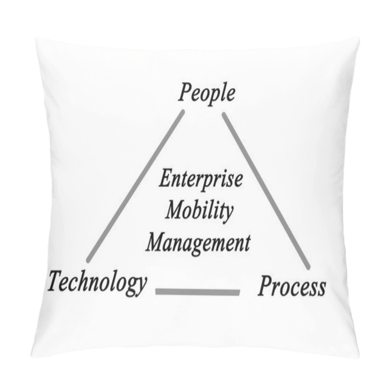 Personality  Diagram Of  Enterprise Mobility Management Pillow Covers