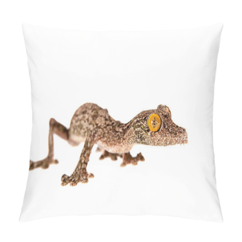 Personality  Leaf-tailed Gecko, Uroplatus Sameiti On White Pillow Covers