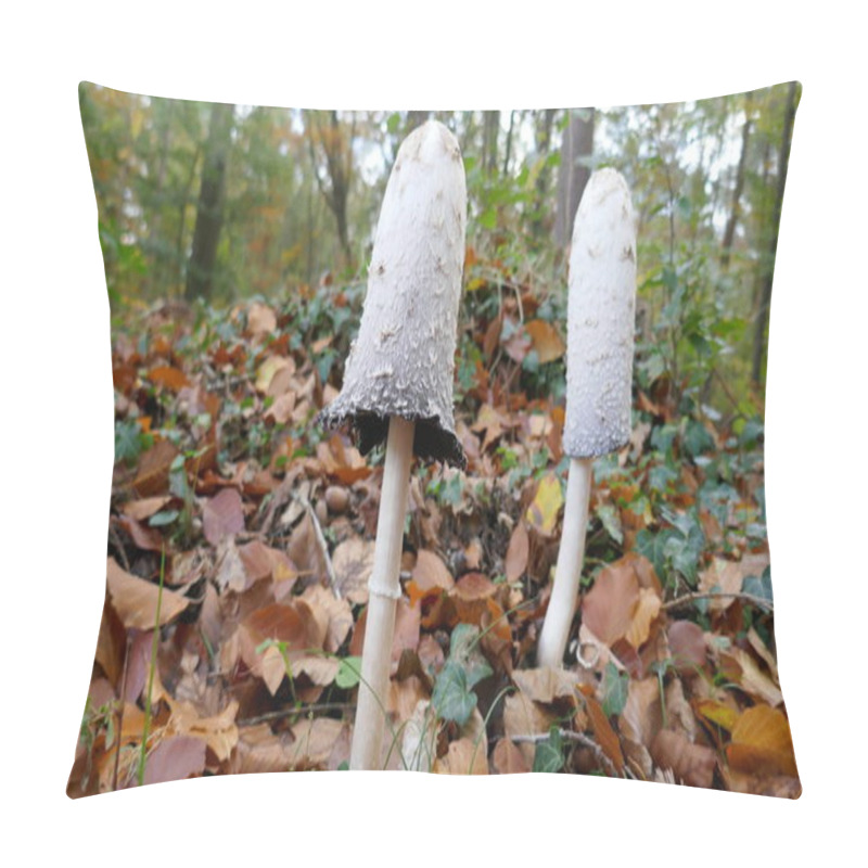 Personality  Two White Mushrooms Standing In Forest, So-called Scaly Ink Mushroom (coprinus Comatus) Pillow Covers