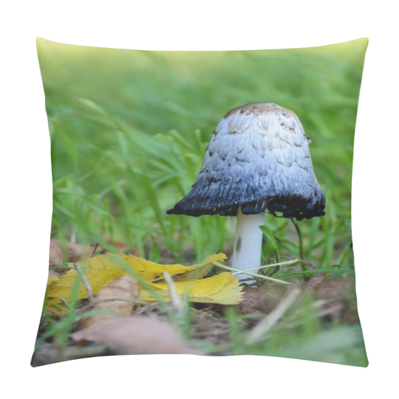 Personality  Coprinus Comatus Edible Mushroom Pillow Covers