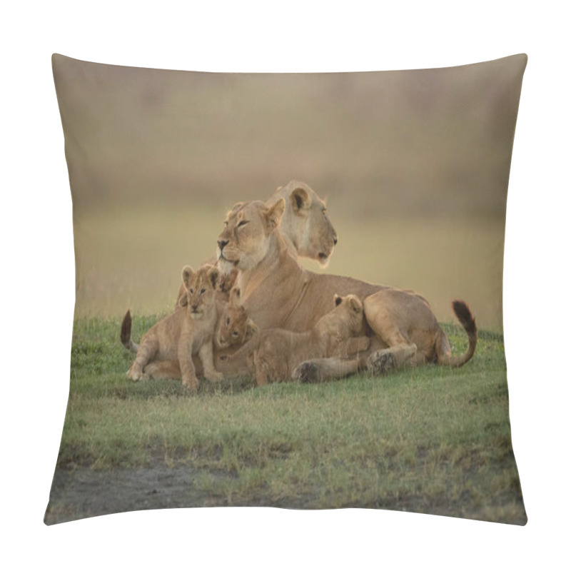 Personality  Two Lionesses Lie With Cubs On Grass Pillow Covers