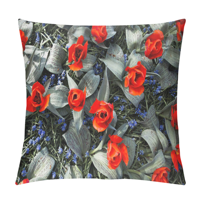 Personality  Beautiful Flower Bed Of Red Tulips Shot From Above On Sunny Day. Floral Background.  Pillow Covers