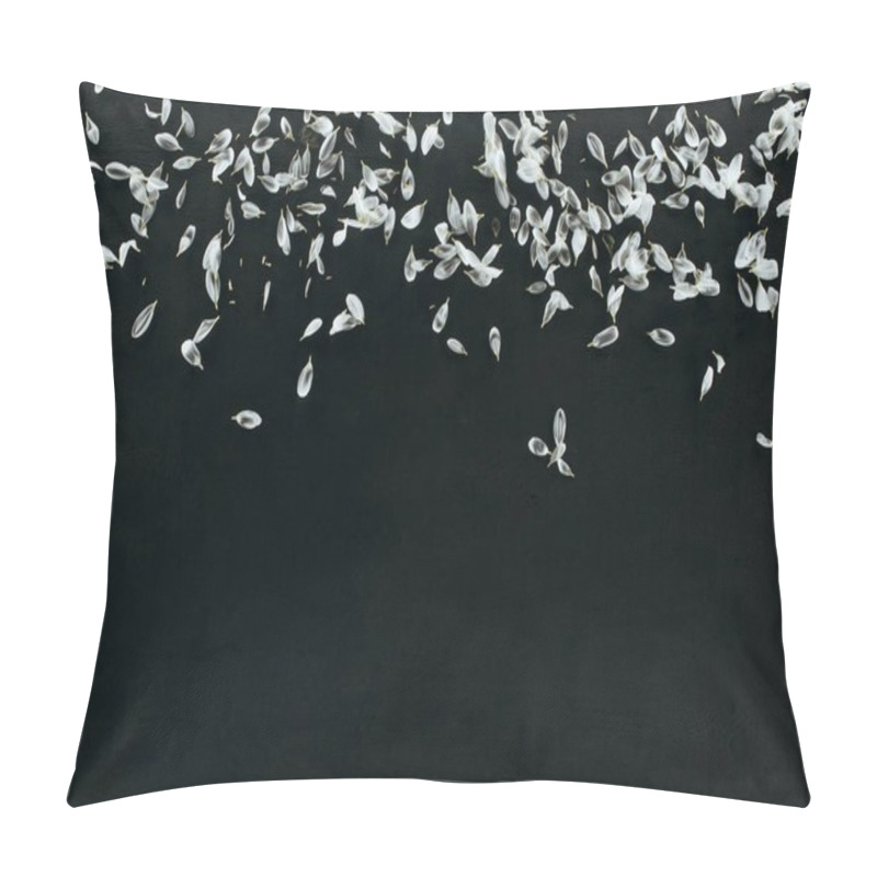 Personality  Top View Of White Petals Heap Isolated On Black With Copy Space Pillow Covers