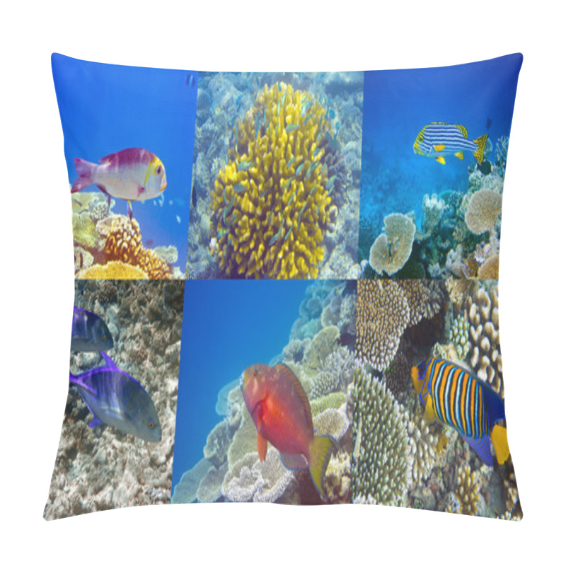 Personality  Indian Ocean. Fishes In Corals Pillow Covers