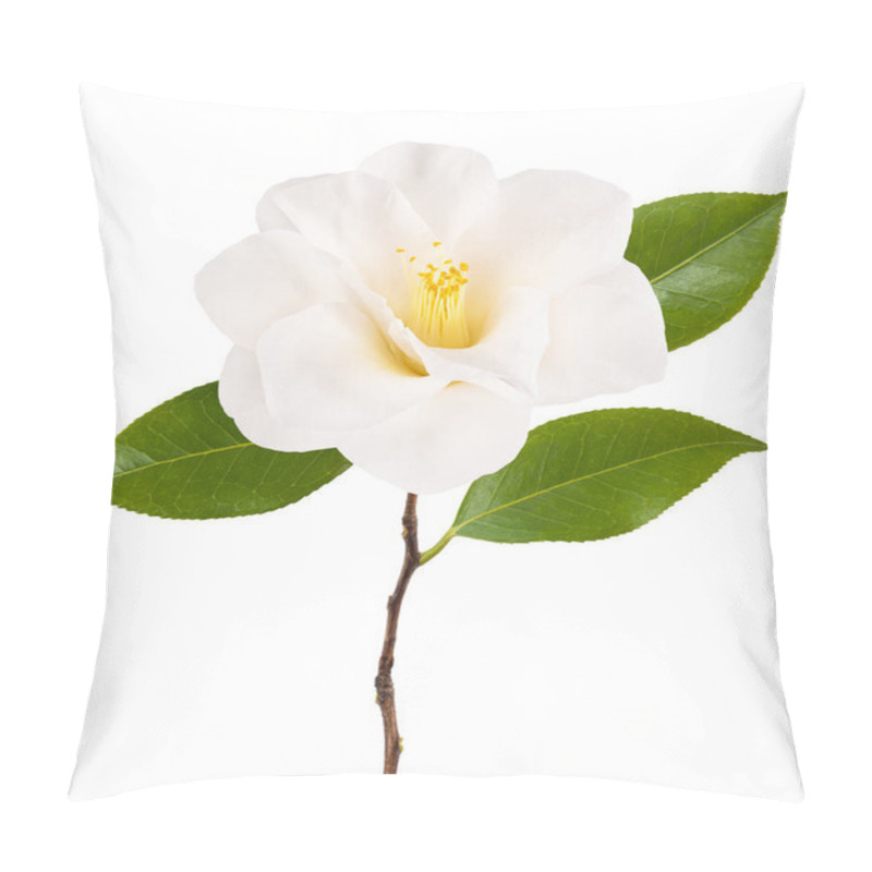 Personality  Camellia Branch With Flower   Isolated On White Pillow Covers