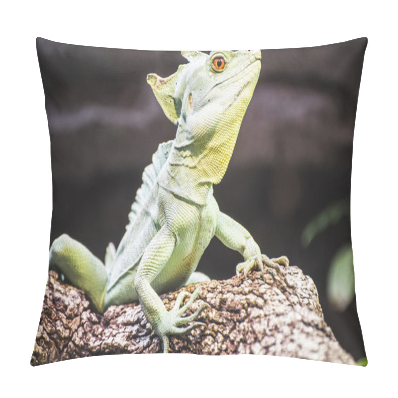 Personality  Scaly Lizard Pillow Covers