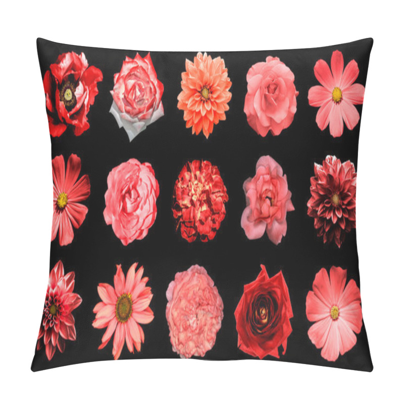 Personality  Mix Collage Of Natural And Surreal Red Flowers 15 In 1: Dahlias, Primulas, Perennial Aster, Daisy Flower, Roses, Peony Isolated On Black Pillow Covers