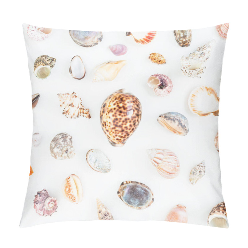 Personality  Various Sea Shells On White Pillow Covers