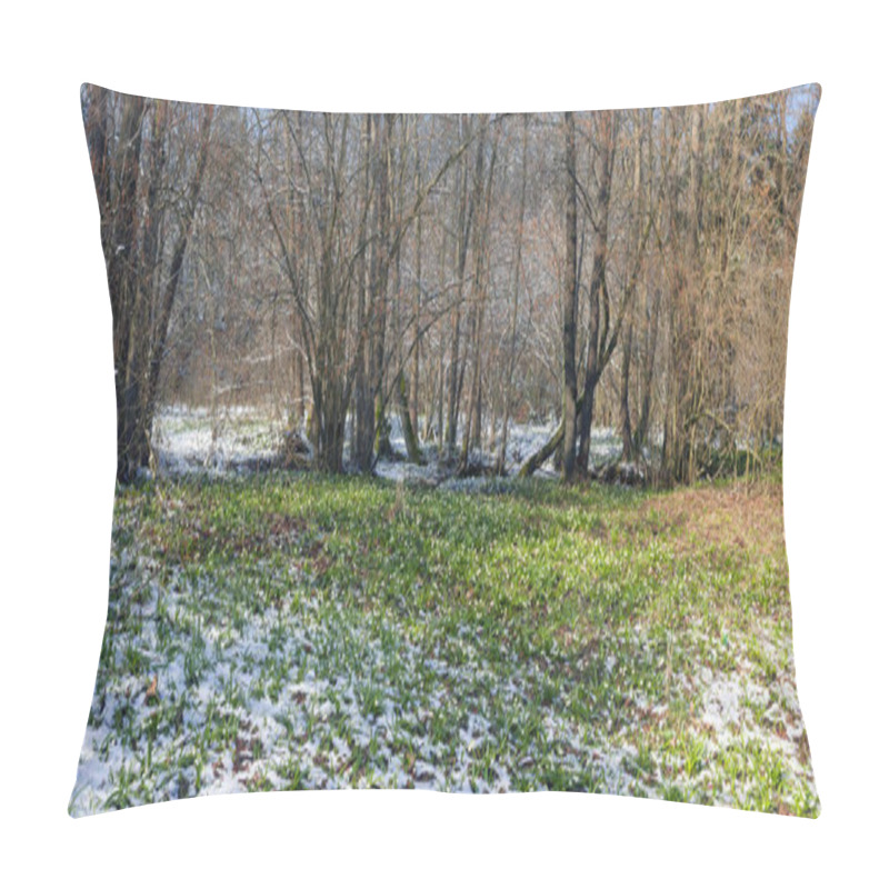 Personality  Alpine Snow Flowers Pillow Covers