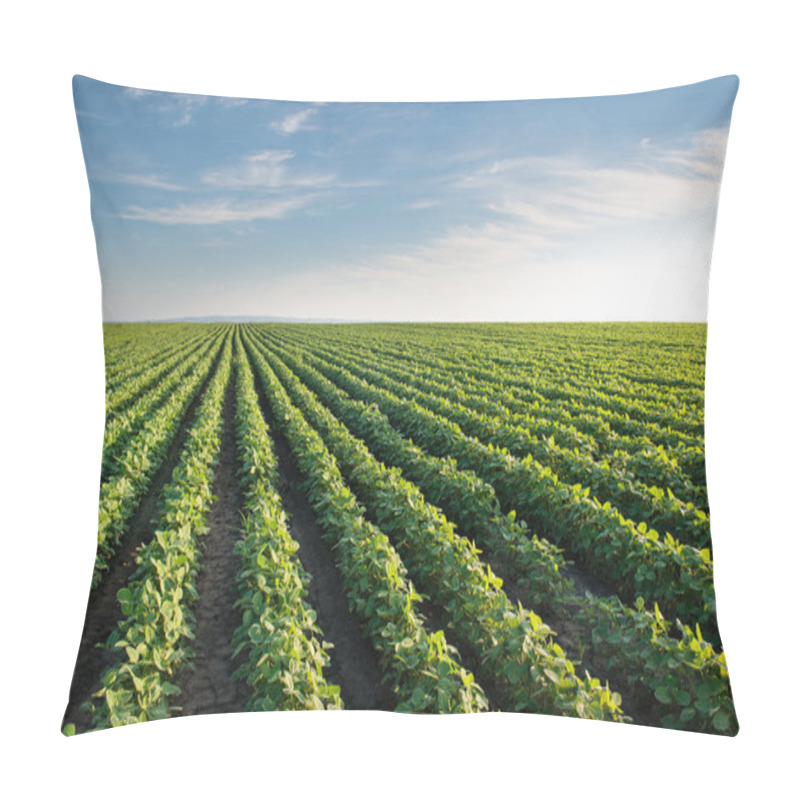 Personality  Soybean Field Pillow Covers