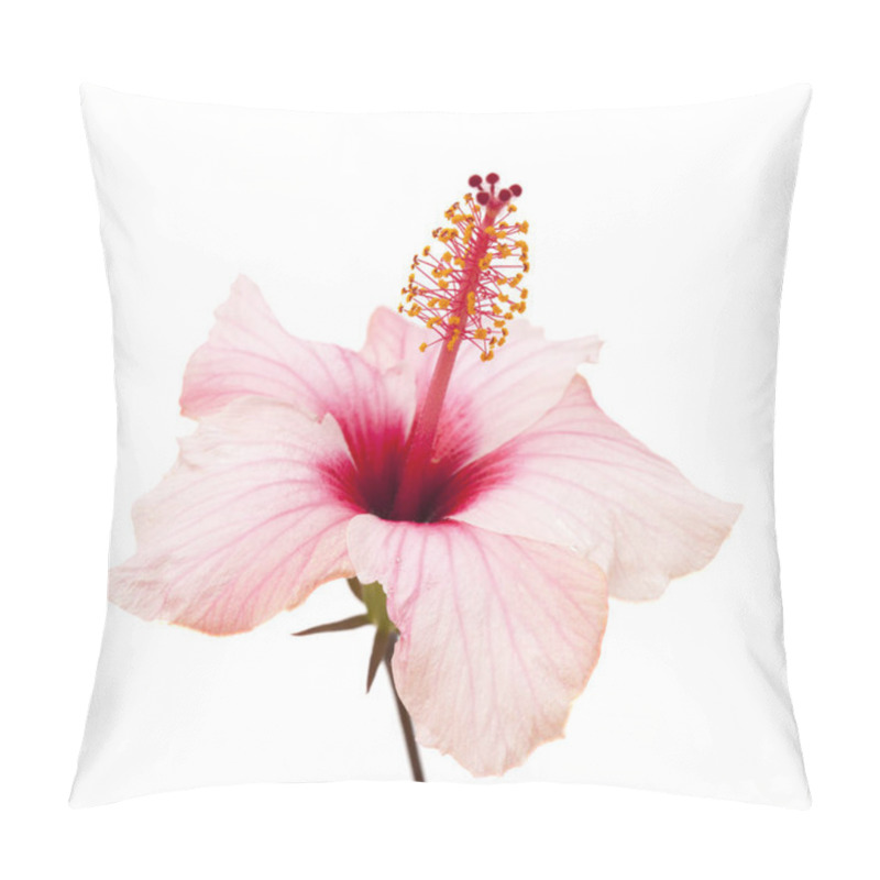 Personality  Gentle Pink Hibiscus Pillow Covers