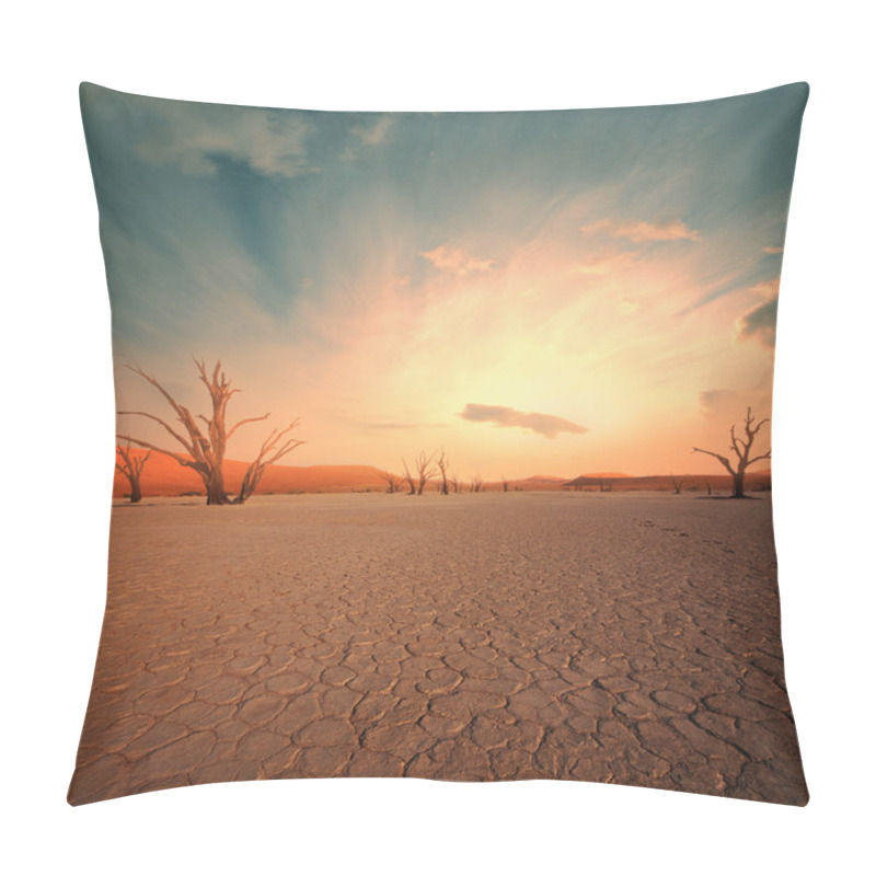 Personality  Namib Pillow Covers