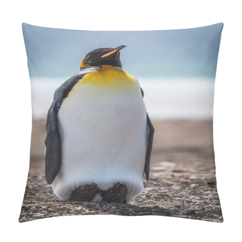 Personality  King Penguin On Beach With Sea Behind Pillow Covers