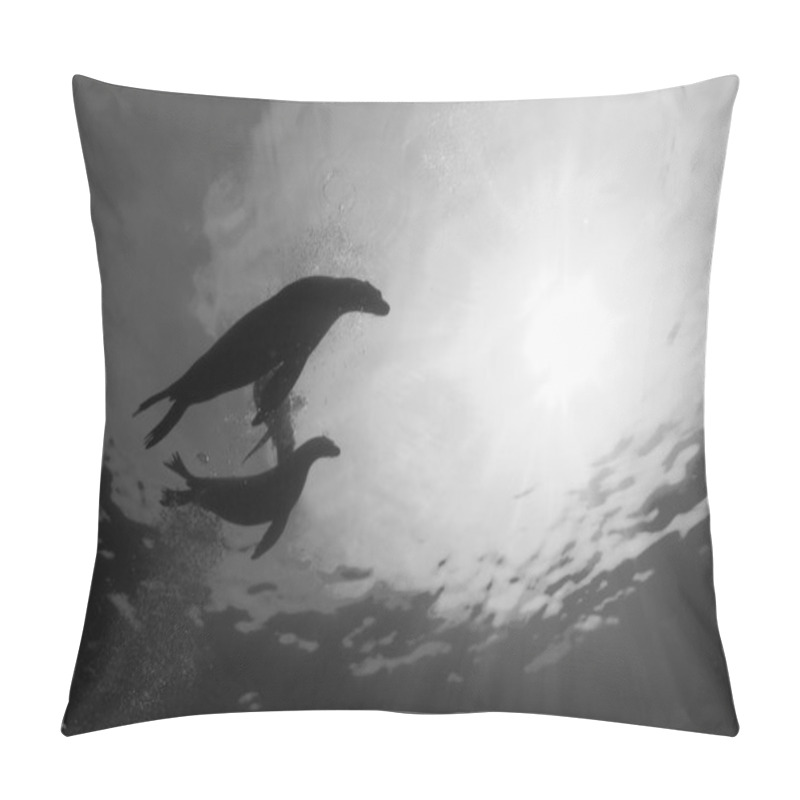 Personality  Puppy Sea Lion Underwater In Black And White Pillow Covers