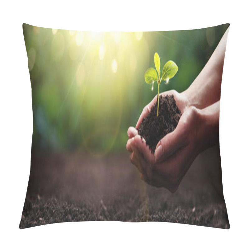 Personality  Plant In Hands. Ecology Concept. Nature Background Pillow Covers