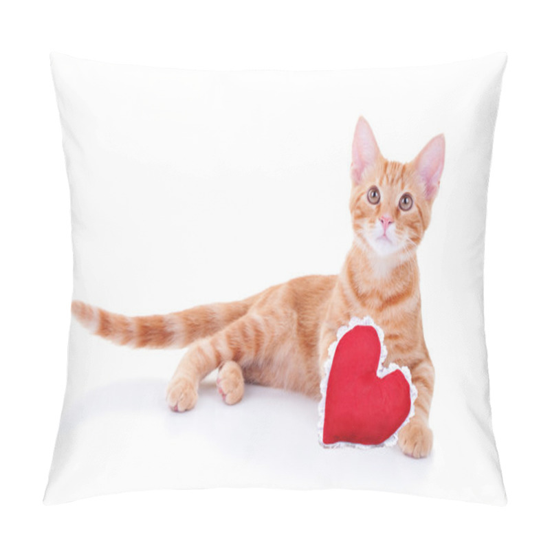 Personality  Valentine Cat Pillow Covers