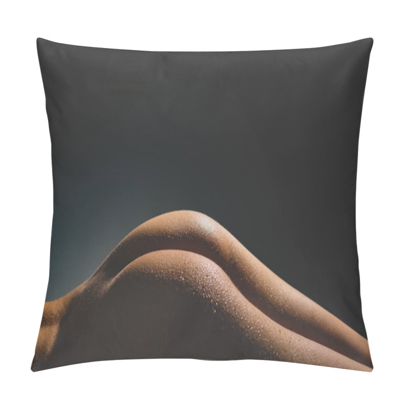 Personality  Woman In Shower. Sexy Ass With Water Drops. Space For Your Sexy Advertising. Beautiful Ass With Water. Sensual Female Body And Line. Close-up Of Womans Buttocks With Advertising Space. Naked. Pillow Covers