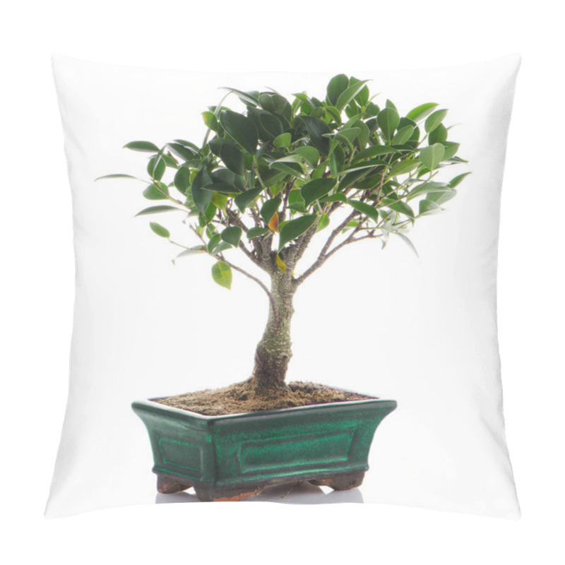 Personality  Chinese Green Bonsai Tree Pillow Covers