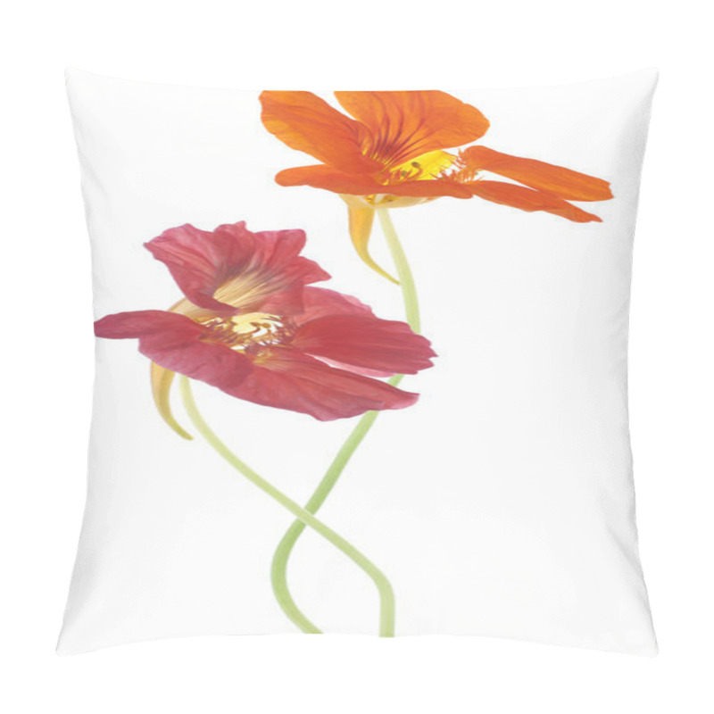 Personality  Nasturtium Pillow Covers