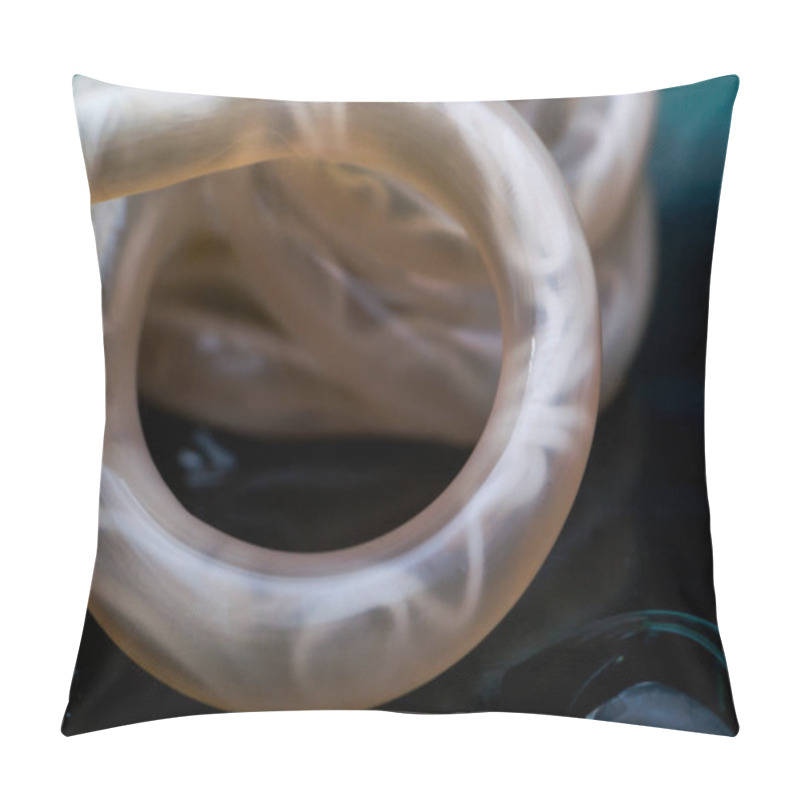 Personality   Macro Photo Of Toxocara Canis Roundworm From A Dog  Pillow Covers