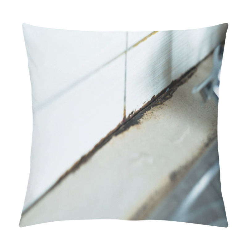 Personality  Mildew Mold On Kitchen Sink. Water Leaking From The Faucet. High Quality Photo Pillow Covers