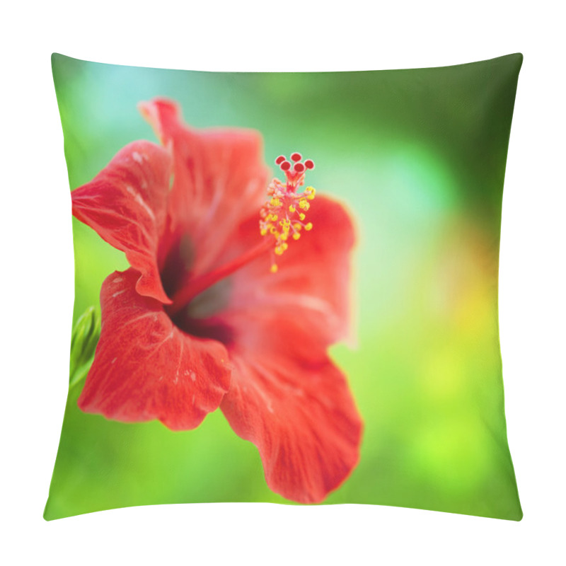 Personality  Hibiscus Flower. Shallow DOF Pillow Covers