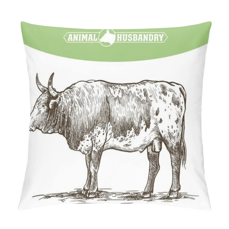 Personality  Breeding Cattle. American Bull. Vector Sketch On White Background Pillow Covers