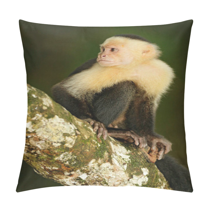 Personality  Black Monkey Sitting On Branch  Pillow Covers