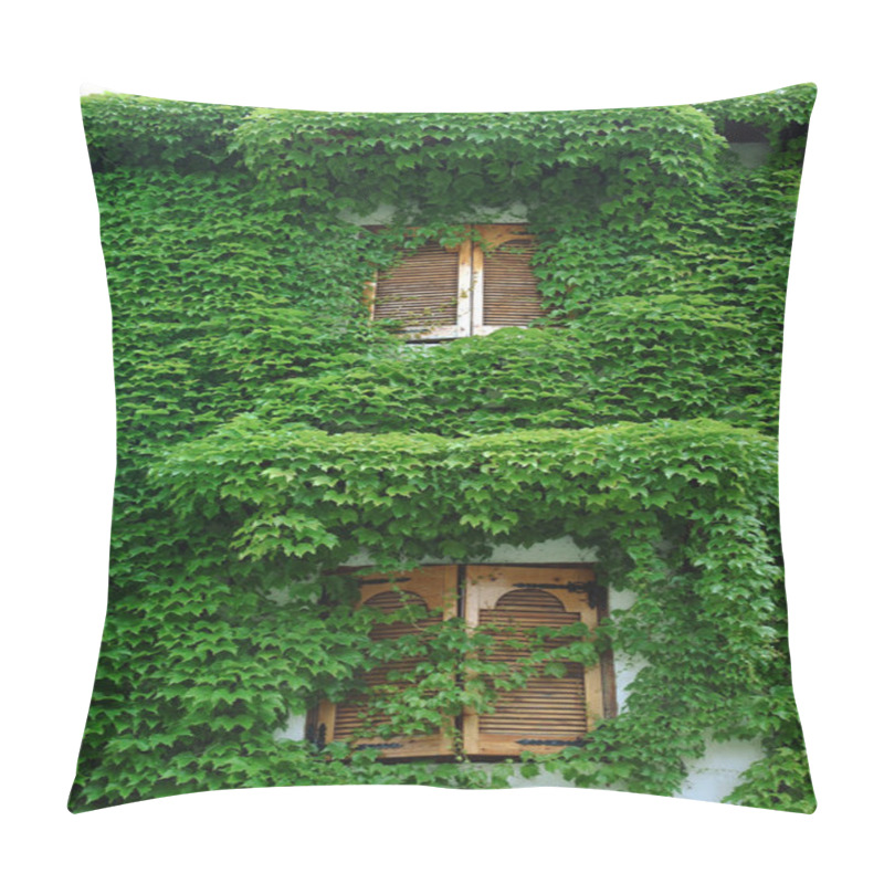 Personality  Ivy House Wall Pillow Covers