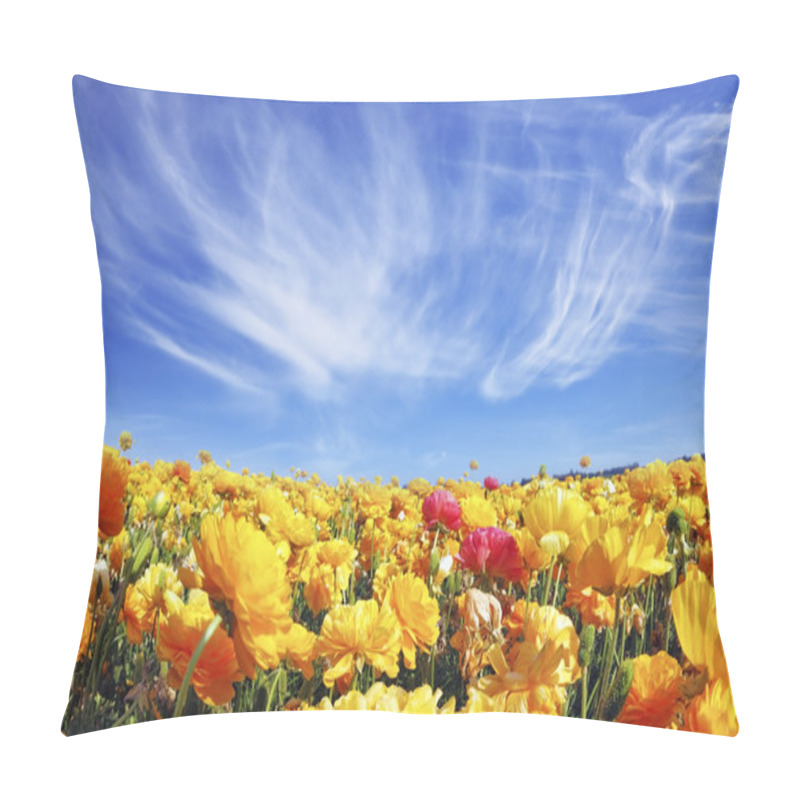 Personality  Light Cirrus Clouds Pillow Covers