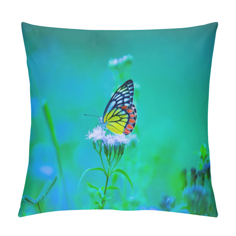 Personality  A Beautiful Common Jezebel Butterfly (Delias Eucharis) Is Seated On Lantana Flowers, A Close-up Side View Of Colourful Wings In A Blurred Green Background, Hyderabad, India Pillow Covers