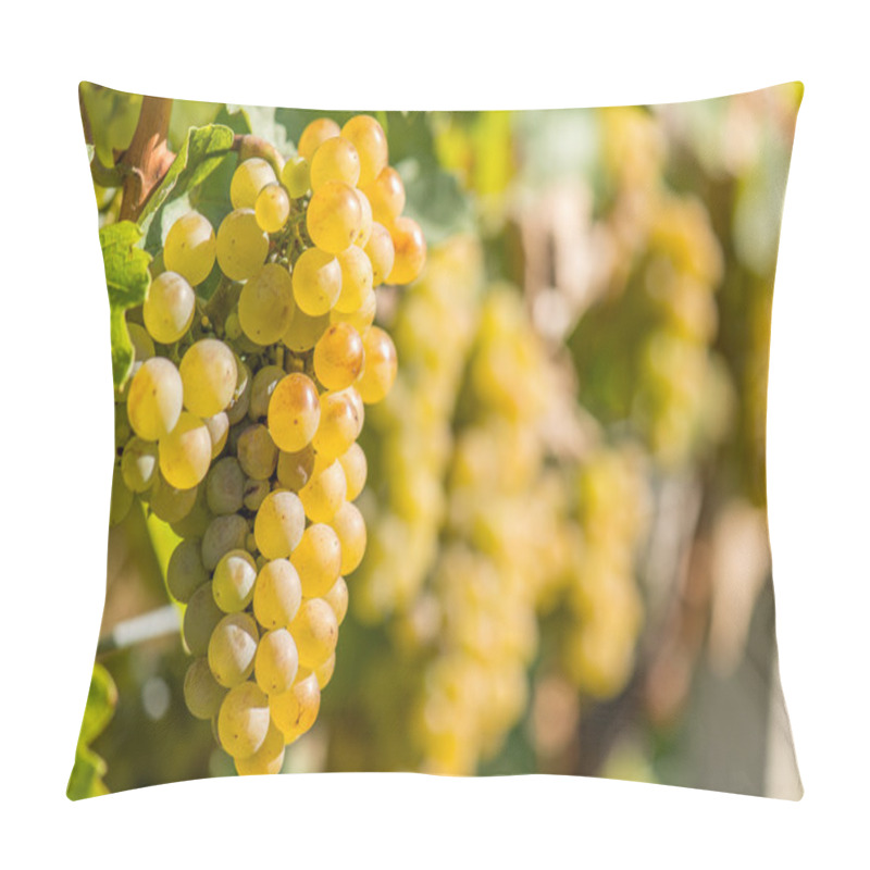 Personality  Gold Grapes On The Vine Pillow Covers