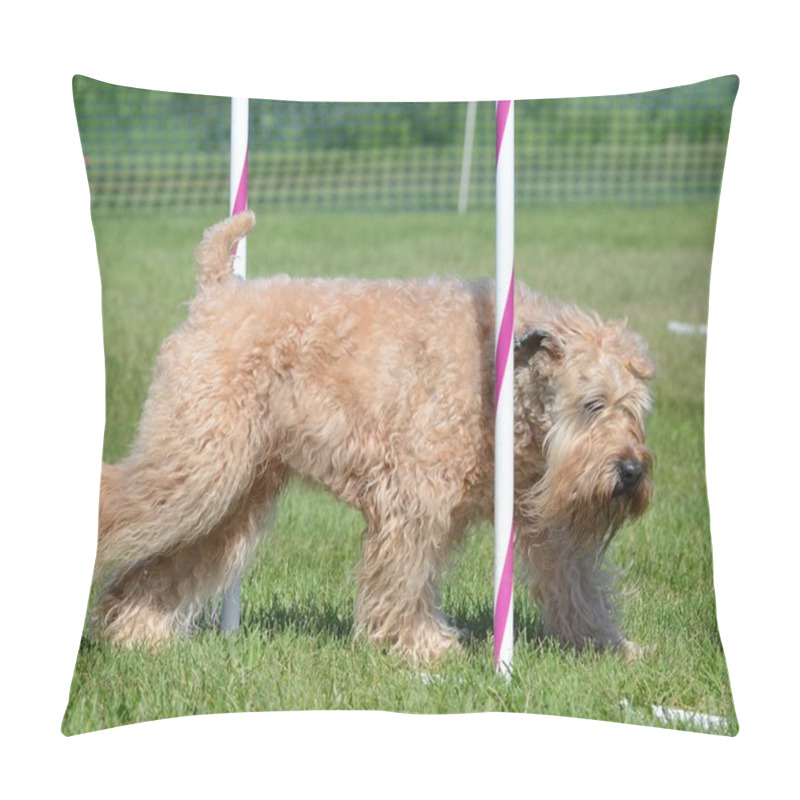 Personality  Soft-Coated Wheaten Terrier At A Dog Agility Trial Pillow Covers