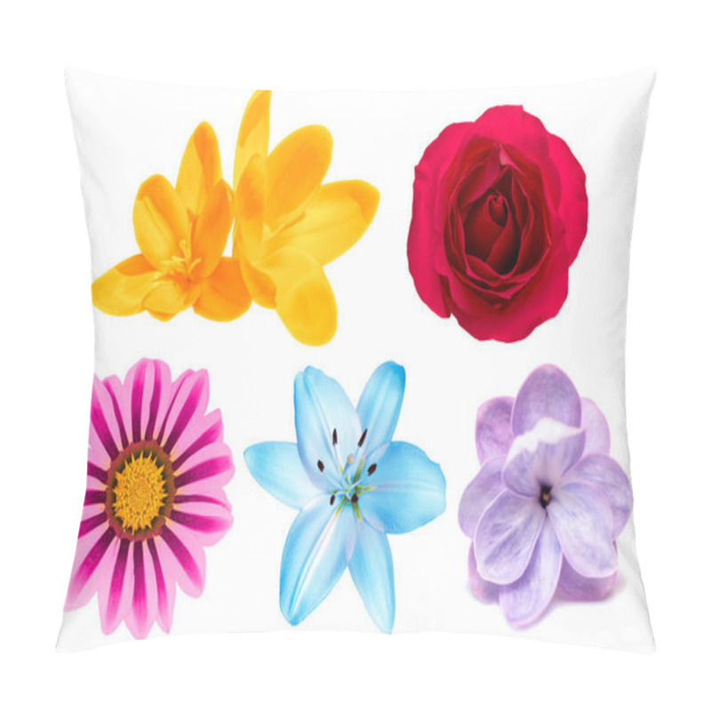 Personality  Set Of Flowers Isolated On White Background Pillow Covers