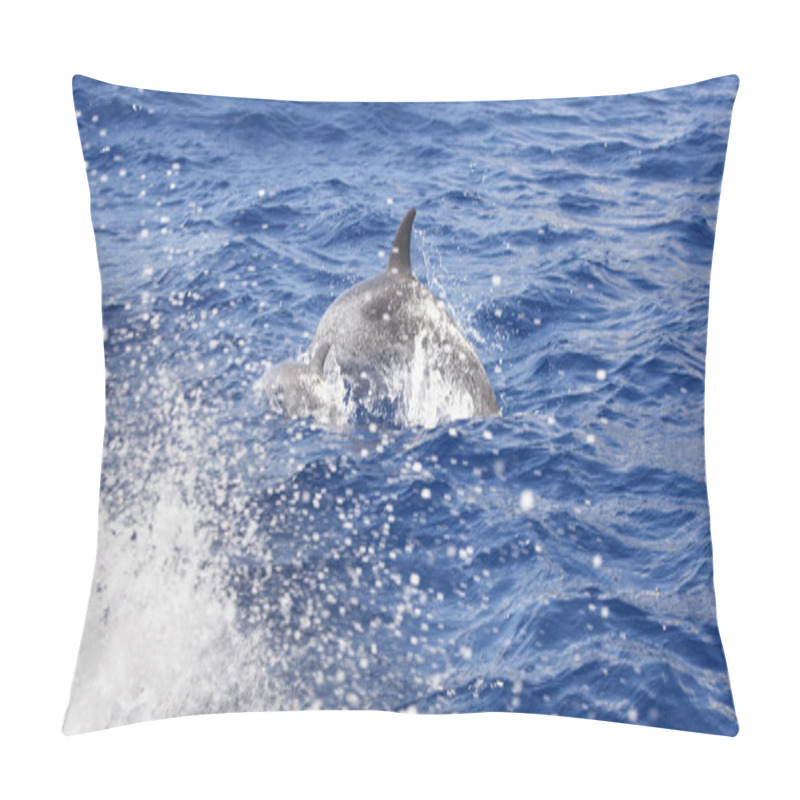 Personality  Dolphins Jumping In The Atlantic Ocean. Azores Island Pillow Covers