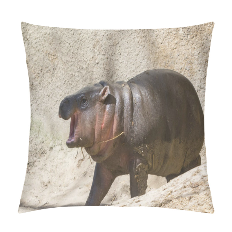 Personality  Pygmy Hippopotamus, Its Scientific Name Is Choeropsis Liberiensis Pillow Covers