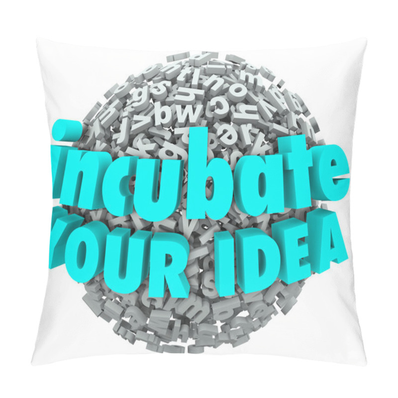 Personality  Incubate Your Idea 3d Words Letter Sphere Business Model Brainst Pillow Covers