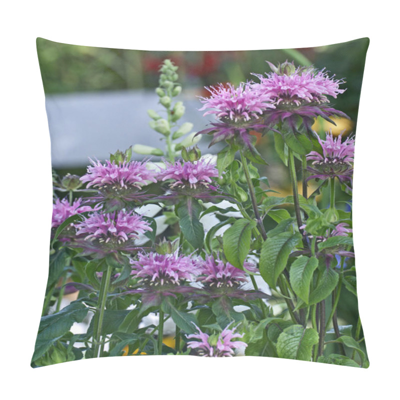 Personality  Flowering Monarda 'Fishes' In A Flower Border Pillow Covers