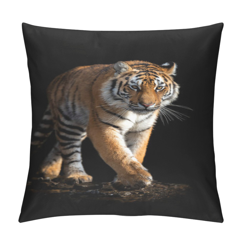 Personality  Close Up Face Tiger Isolated On Black Background Pillow Covers