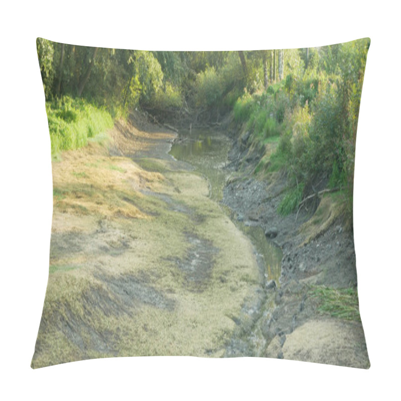 Personality  Drought And Drying River Morava Water, Dry Up The Soil Cracked, Eutrophication Climate Change, Environmental Disaster, Lack Of Oxygen For The Growth Of Cyanobacteria And Algae Pillow Covers