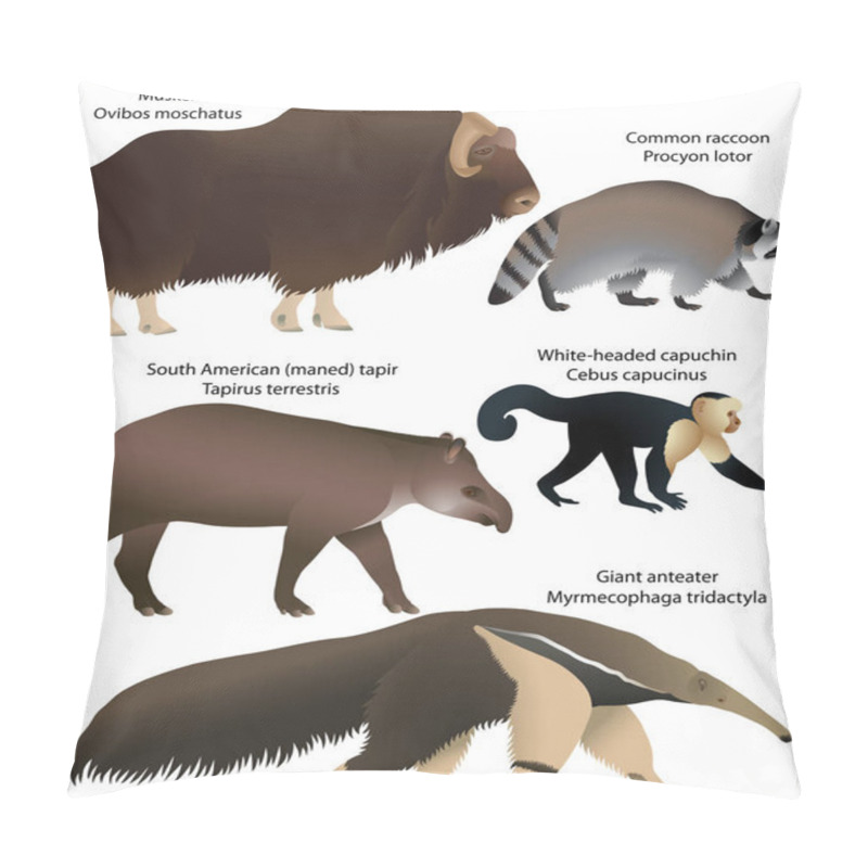 Personality  Animals Of America Pillow Covers