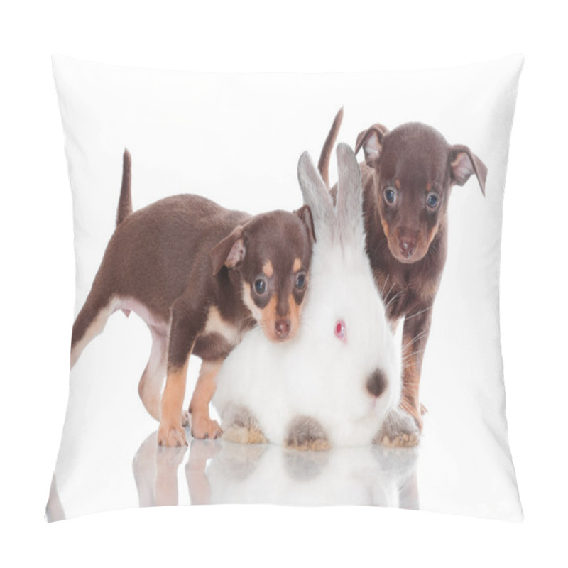 Personality  Adorable Russian Toy Terrier Puppies With A Rabbit Pillow Covers