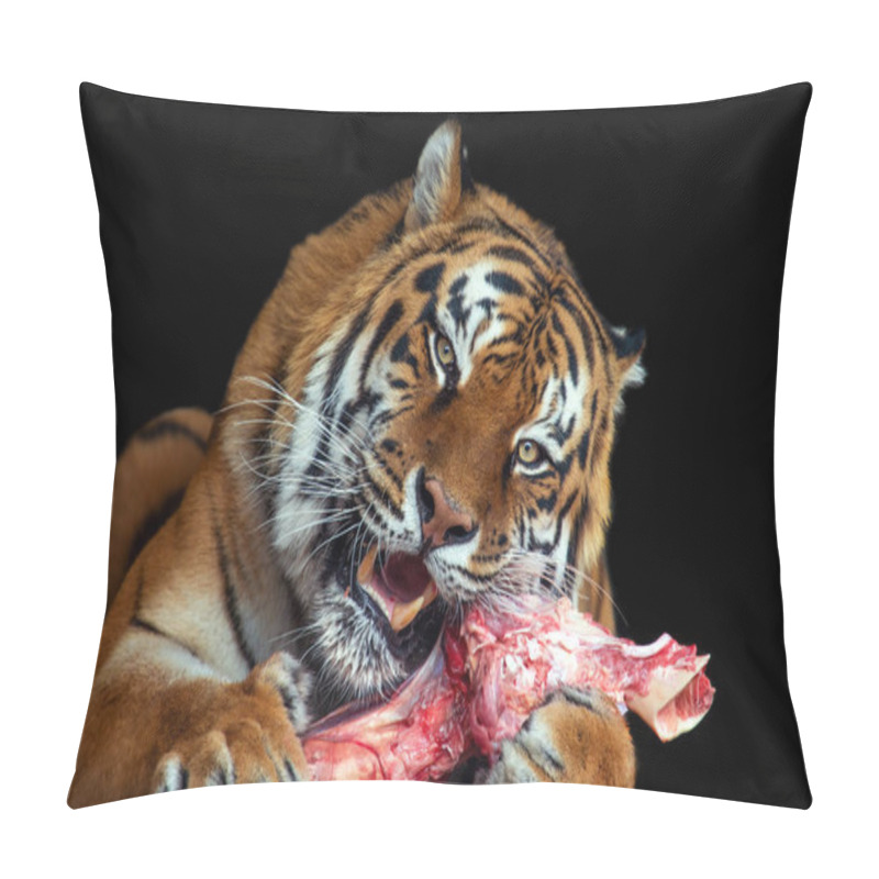 Personality  Close Tiger Eating Meat On Black Background Pillow Covers