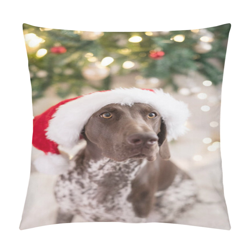 Personality  GSP Dog Wearing A Santa Claus Hat In Front Of Christmas Tree Pillow Covers