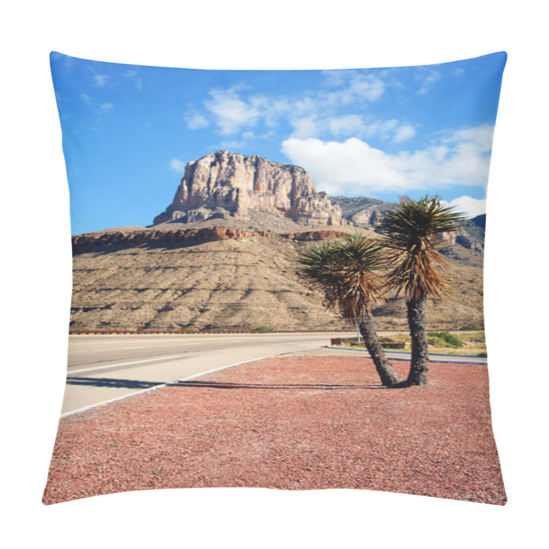 Personality  A Yucca On The Road To Guadalupe Mountains National Park Pillow Covers