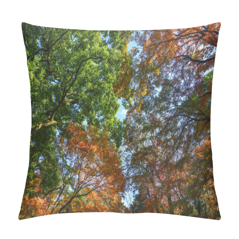 Personality  Autumn Garden In Tokyo, Japan  Pillow Covers