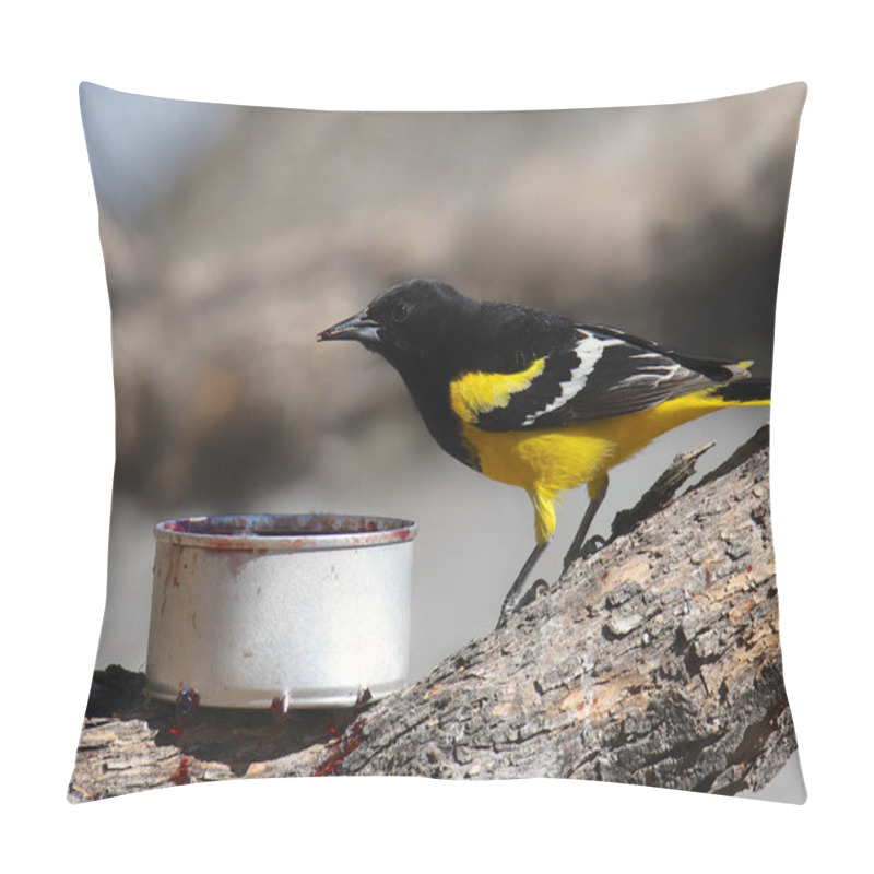 Personality  Scott's Oriole (male) (icterus Parisorum) Pillow Covers