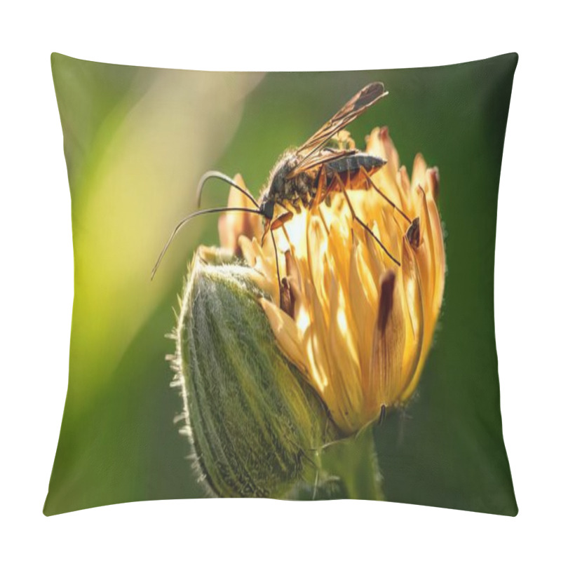 Personality  Bugs, Butterflies On The Flower. Close-up Macro Photo Pillow Covers