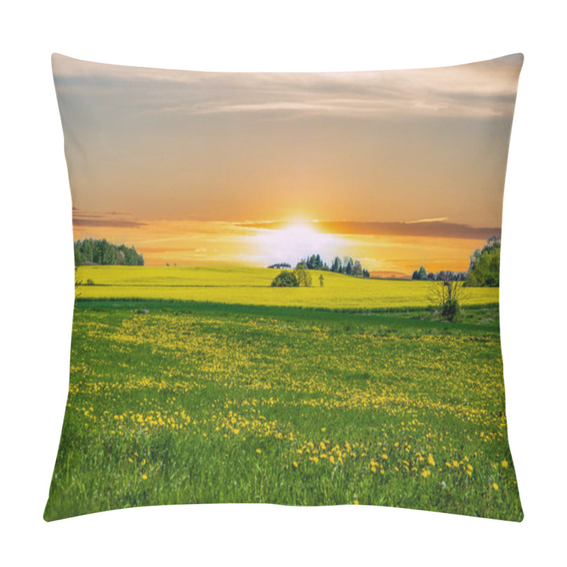 Personality  Dandelion Field At Sunset In Spring Pillow Covers